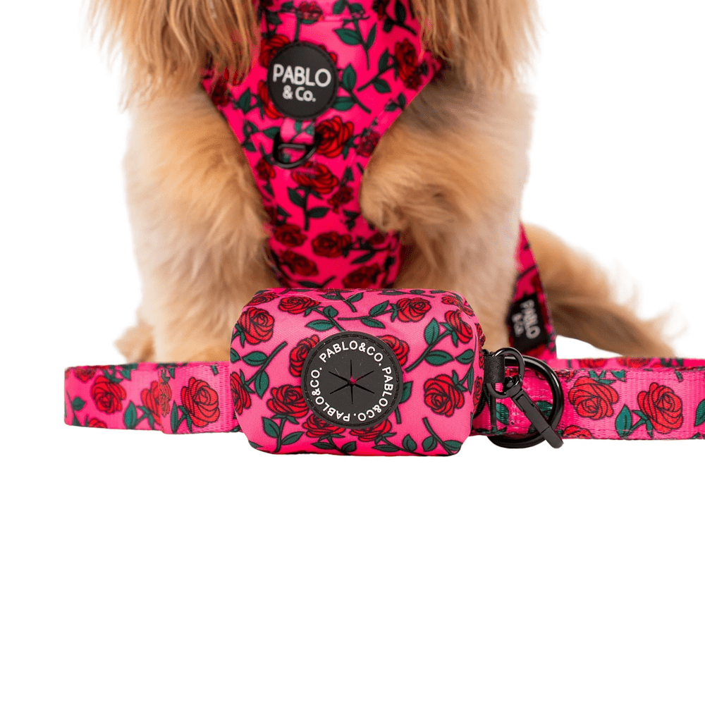 Pablo & Co Rosie Poop Bag Holder - Poop Bag Holders from Sale at DoggyTopia