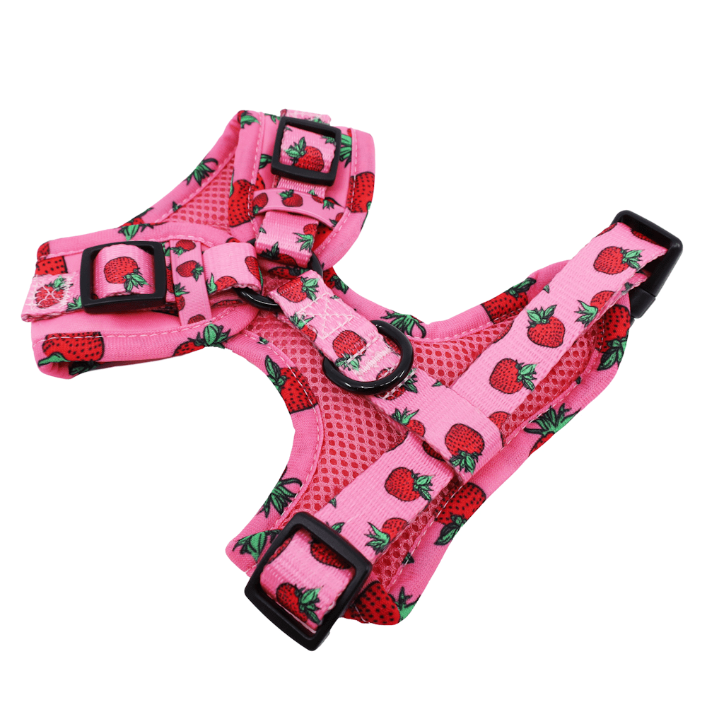 Pablo & Co Strawberries Adjustable Harness - Adjustable Harnesses from Pablo & Co at DoggyTopia