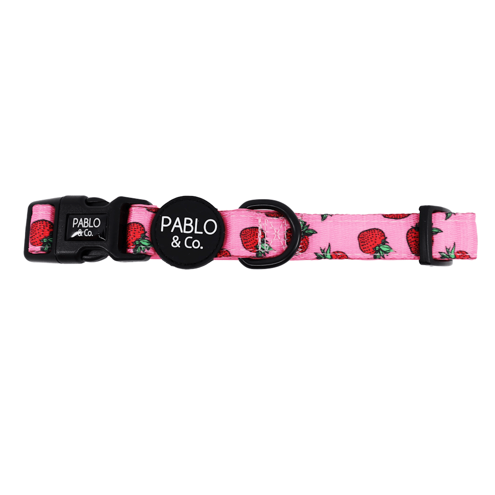 Pablo & Co Strawberries Dog Collar - Collars from Pablo & Co at DoggyTopia