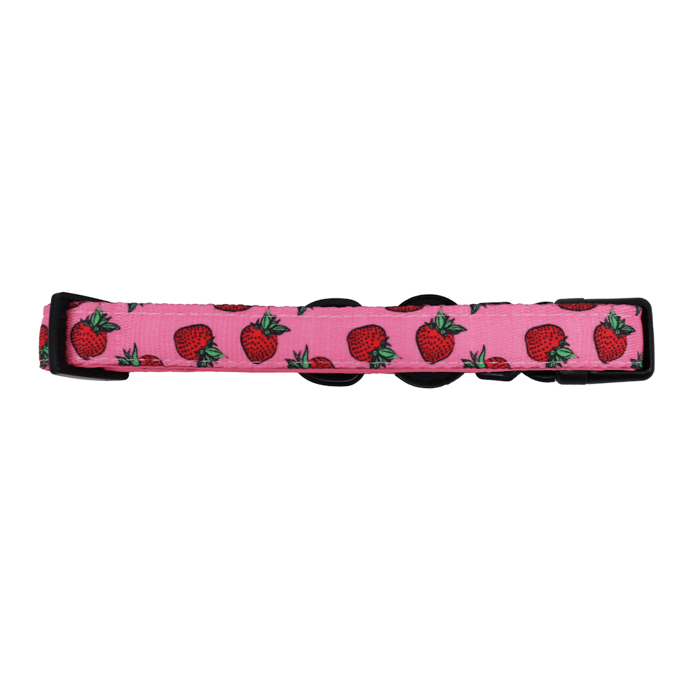 Pablo & Co Strawberries Dog Collar - Collars from Pablo & Co at DoggyTopia