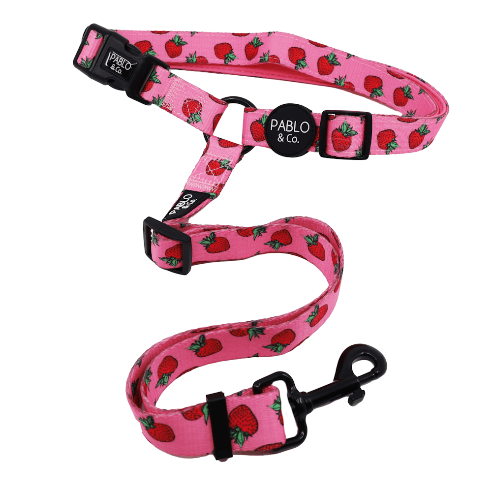 Pablo & Co Strawberries Headrest Car Restraint - Car Restraints from Pablo & Co at DoggyTopia