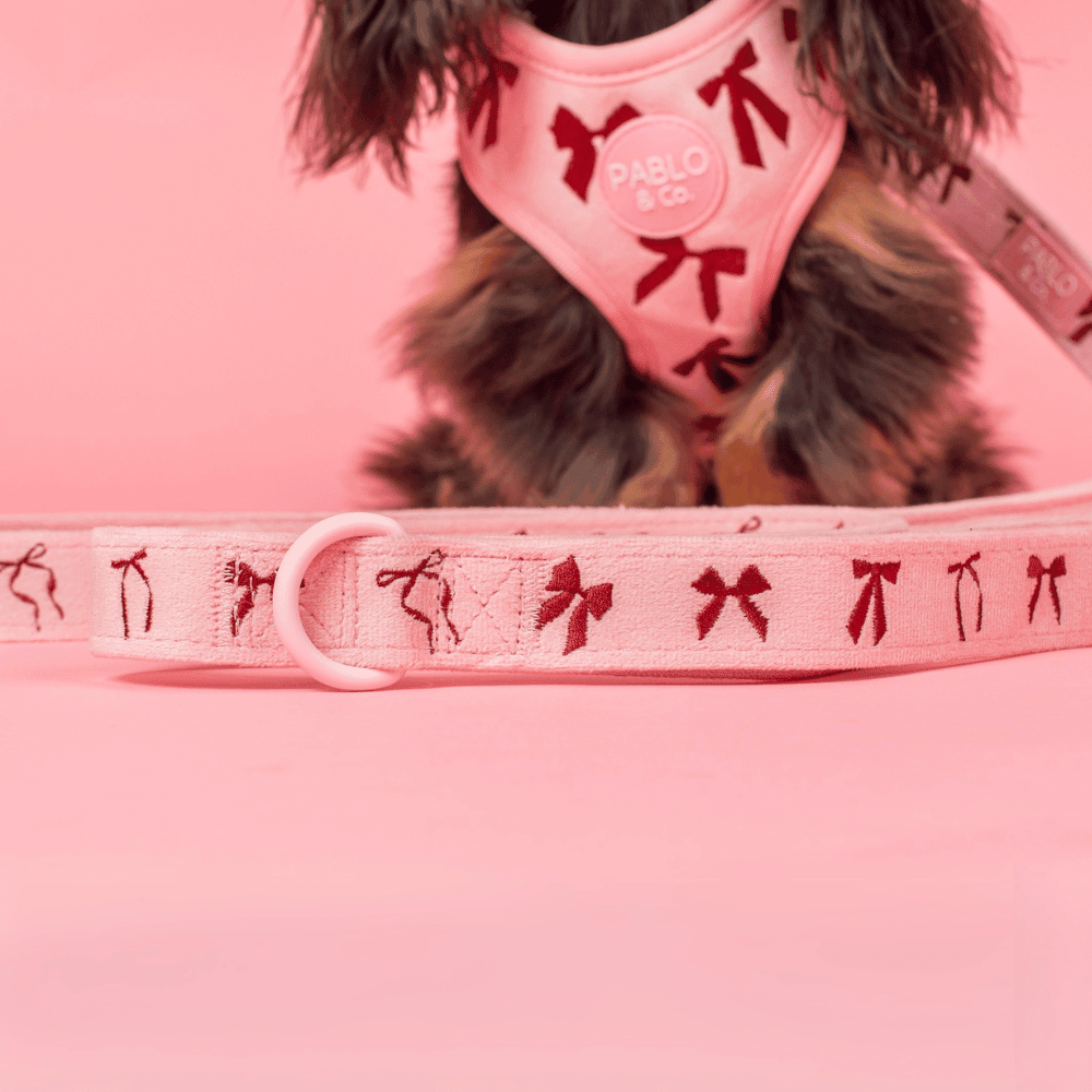 Pablo & Co Velvet Blush Bows Dog Leash - Leashes & Leads from Pablo & Co at DoggyTopia