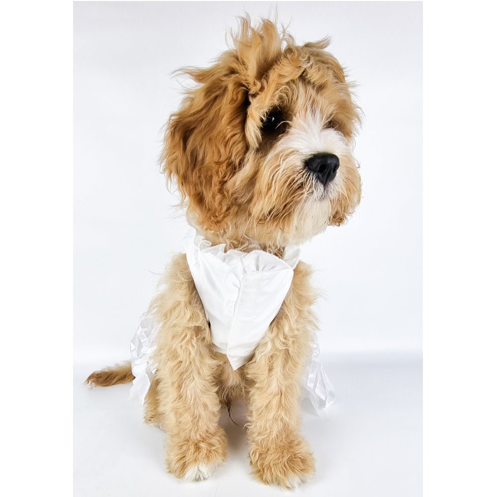 Rosetta Wedding Dog Dress - Dress from . at DoggyTopia