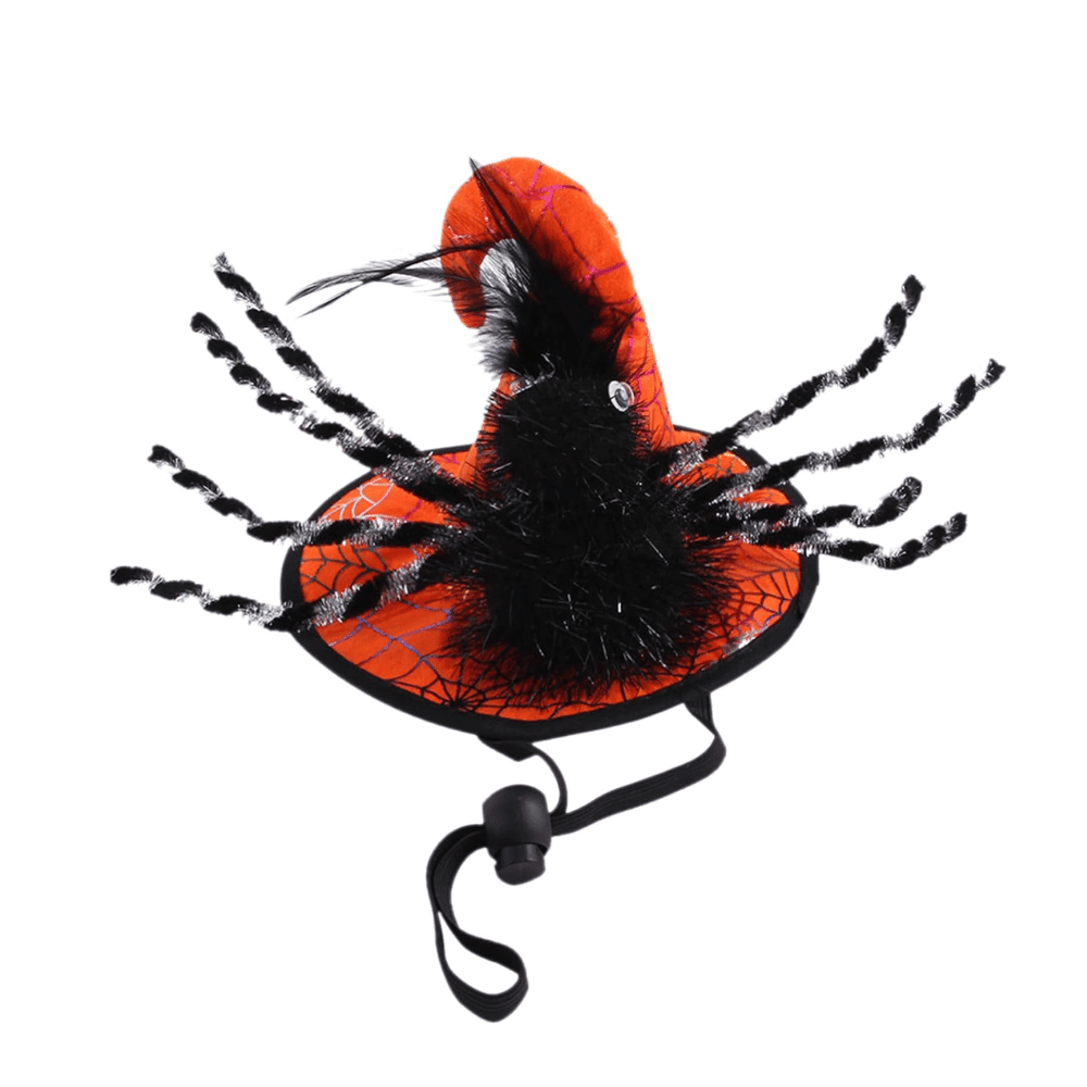 Spooky Spider Witch Dog Hat - Costumes from Sale at DoggyTopia