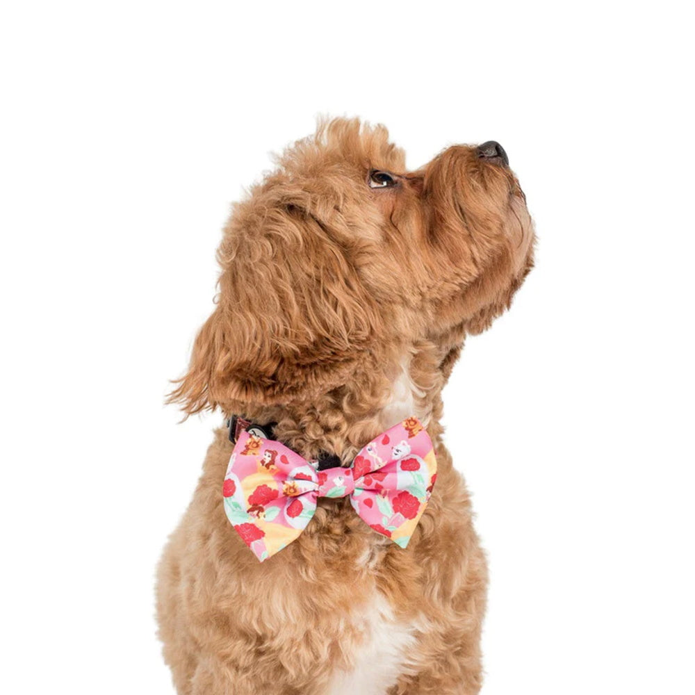 Pablo & Co Beauty and the Beast: Bow Tie