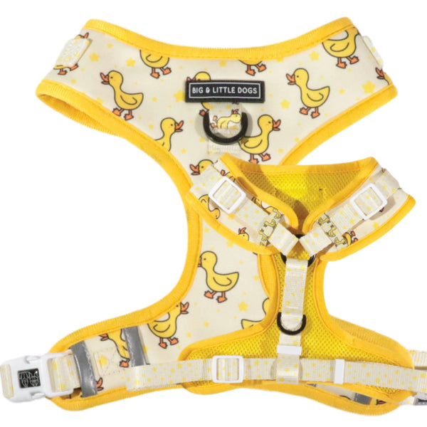 DoggyTopia