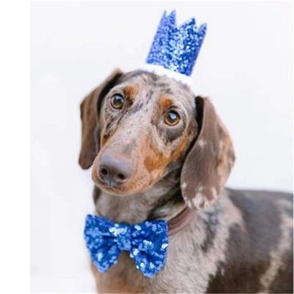 Dog Birthday Crown & Bow Tie CollarDoggyTopia