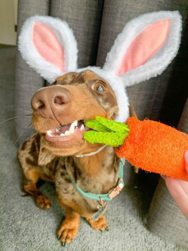 Loofah Carrot Dog ToyDoggyTopia