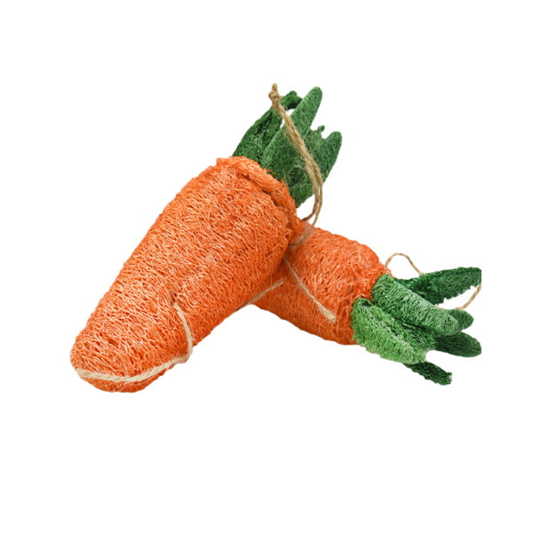 Loofah Carrot Dog ToyDoggyTopia