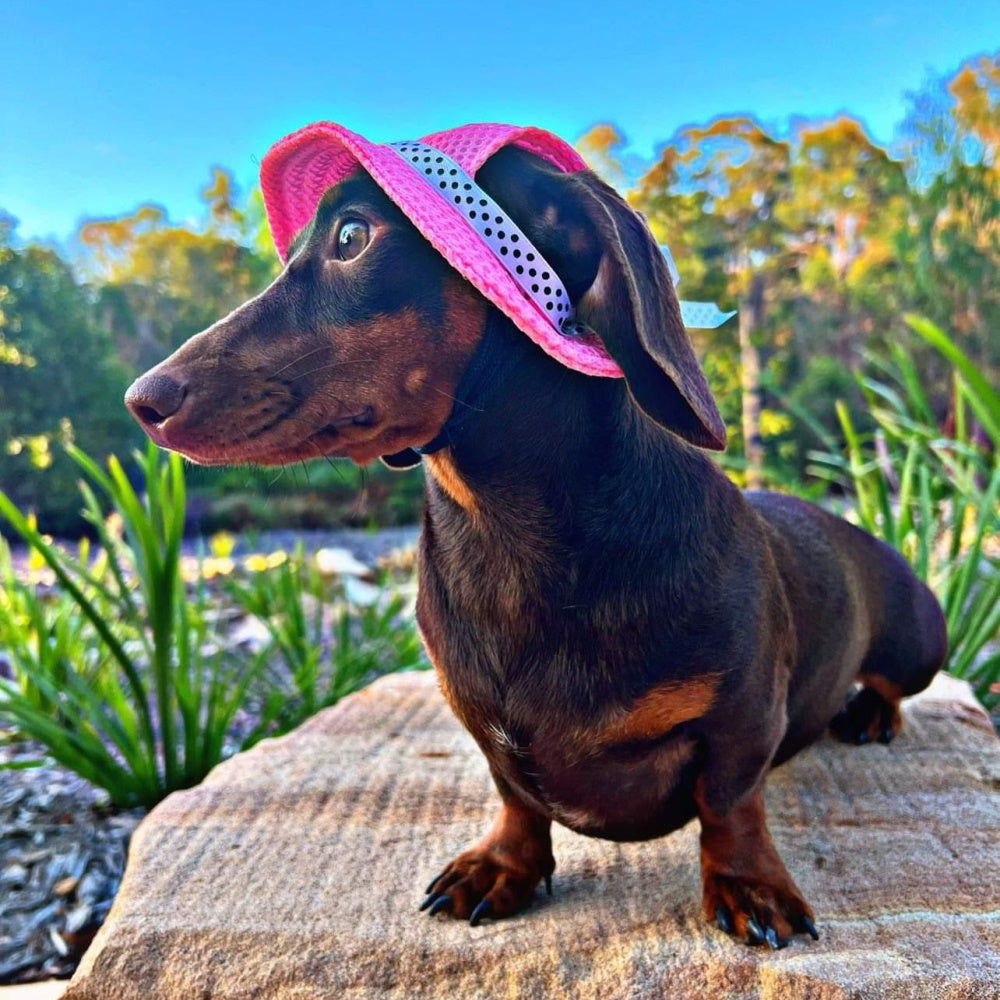 Full Brim Dog Sun Hat Pink