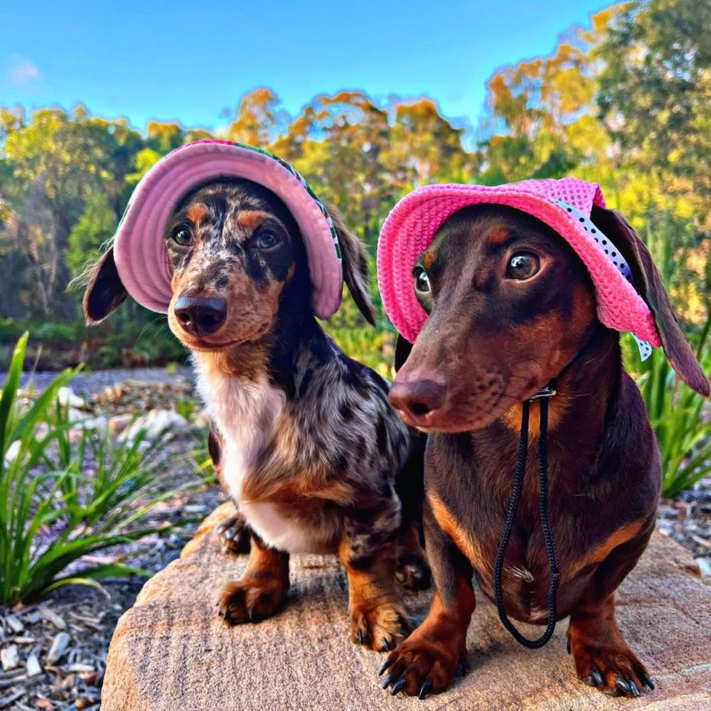 Full Brim Dog Sun Hat Pink