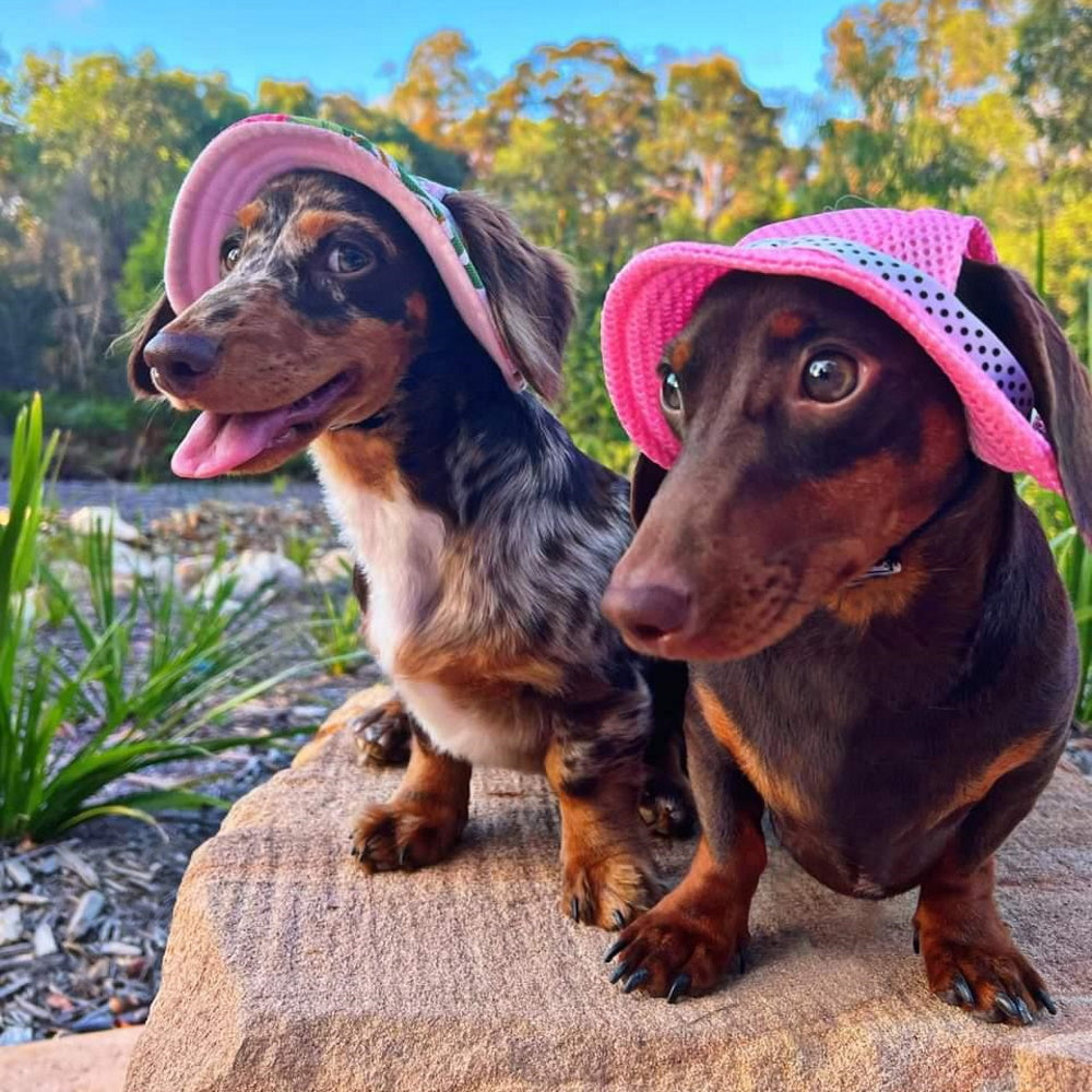 Full Brim Dog Sun Hat Floral