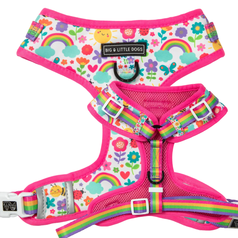 Big & Little Dogs Follow The Rainbow Adjustable Harness