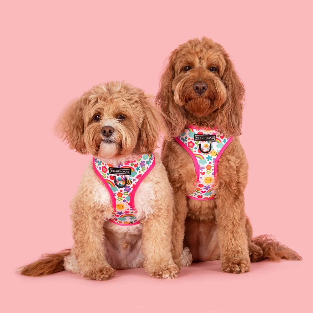 Big & Little Dogs Follow The Rainbow Adjustable Harness