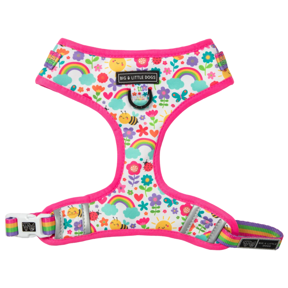 Big & Little Dogs Follow The Rainbow Adjustable Harness