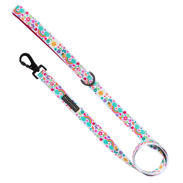 Big & Little Dogs Follow The Rainbow Dog Leash