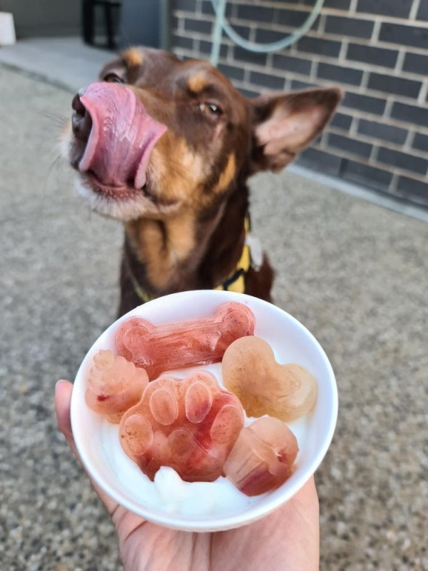 Silicone Paw Dog Ice Cube Tray LargeDoggyTopia