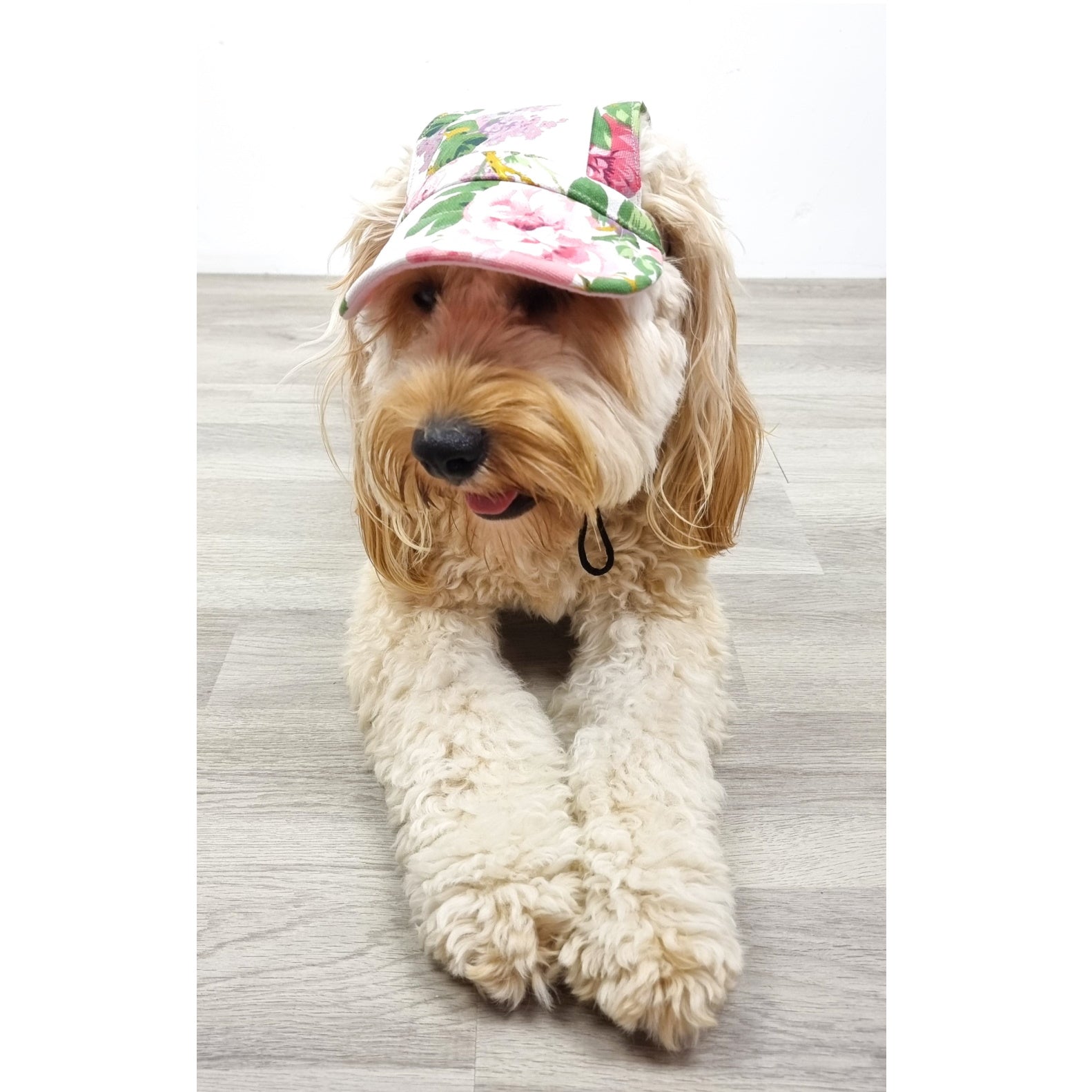 Dog Cap - Floral