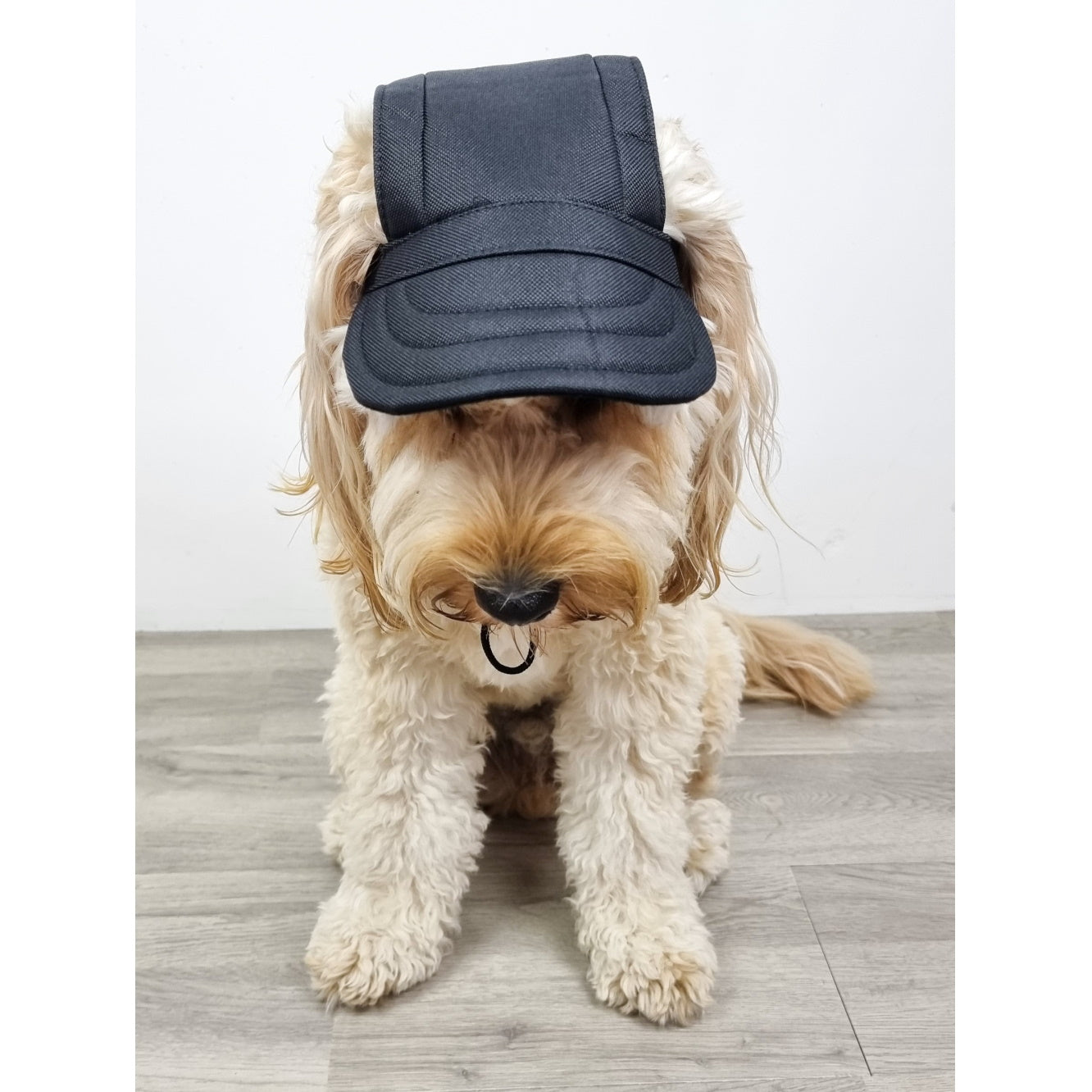 Dog Cap - Black