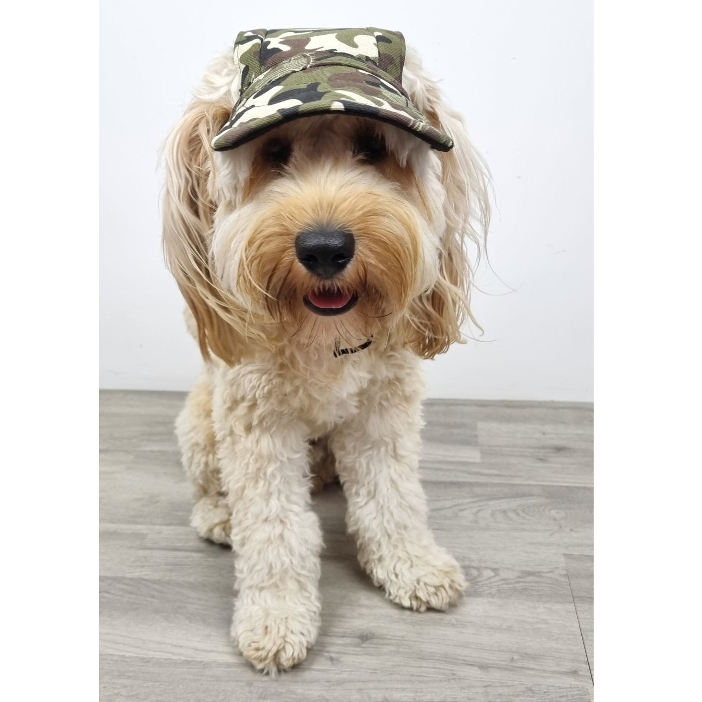 Dog Cap - Camouflage