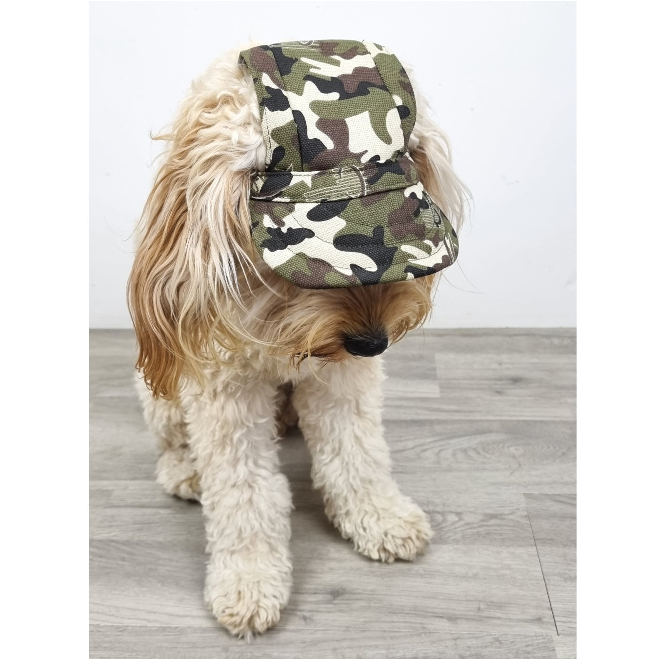 Dog Cap - Camouflage