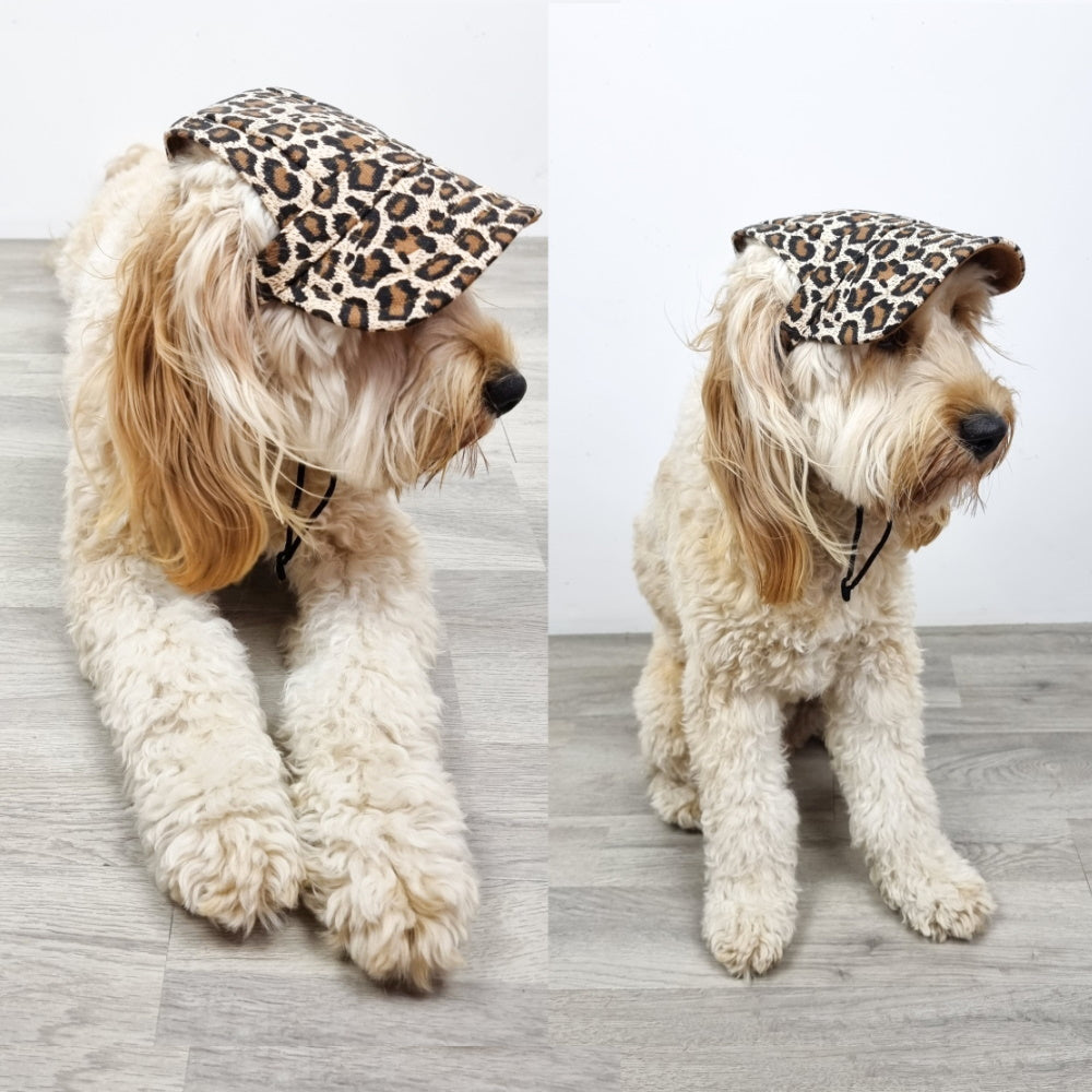 Dog Cap - Leopard