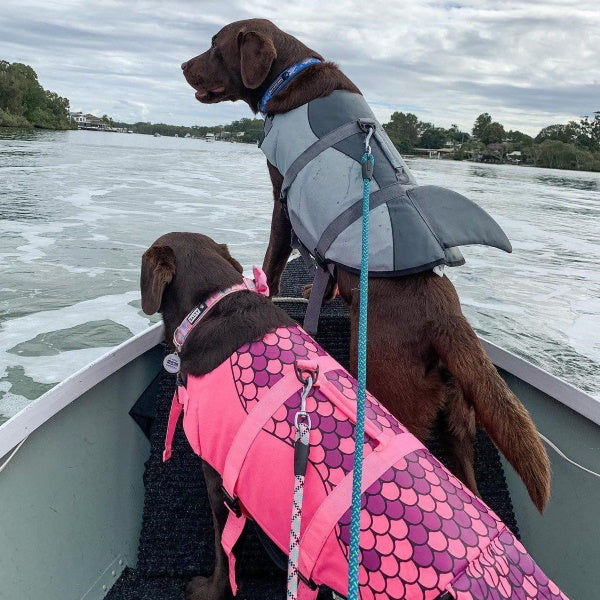 Shark Dog Life Jacket DoggyTopia DoggyTopia