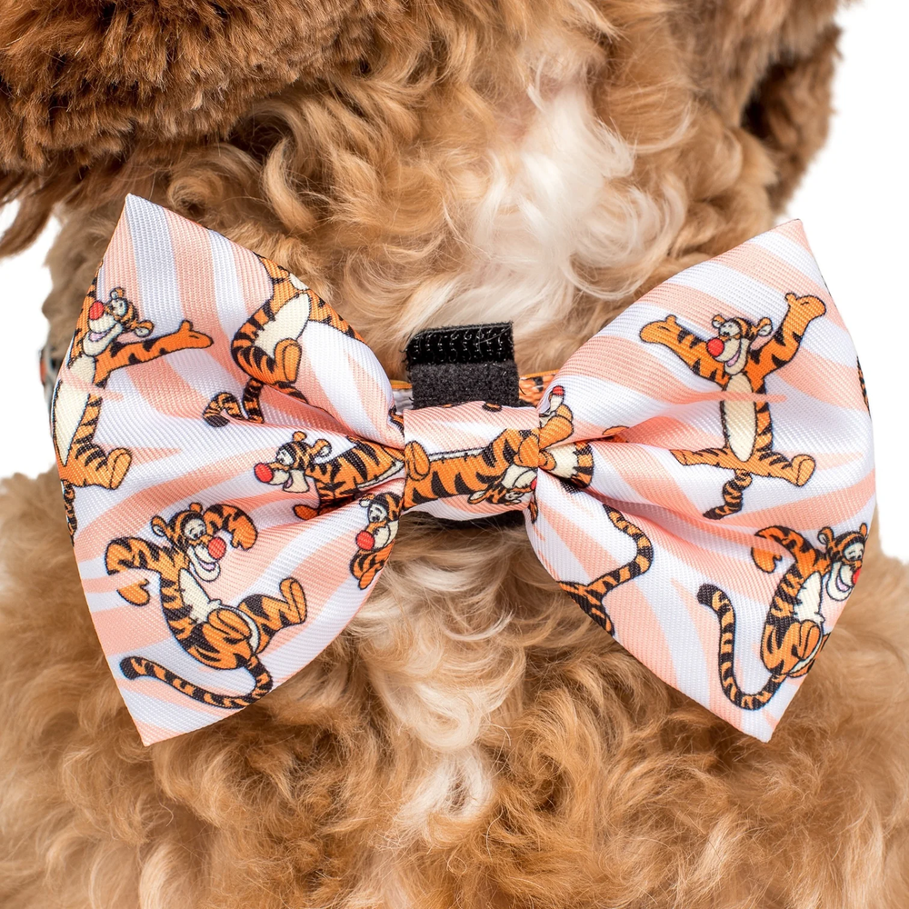 Pablo & Co One of a Kind Tigger: Bow Tie