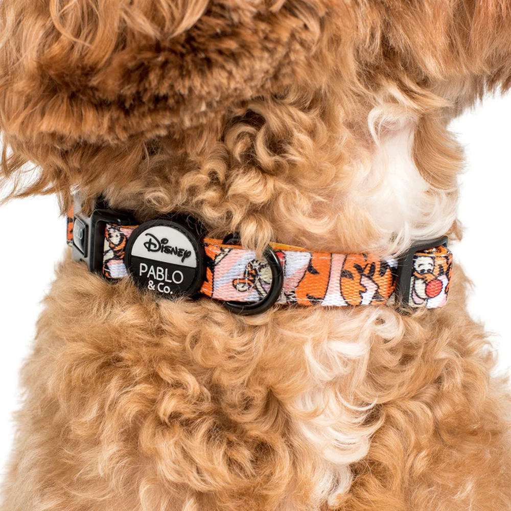 Pablo & Co One of a Kind Tigger: Dog Collar