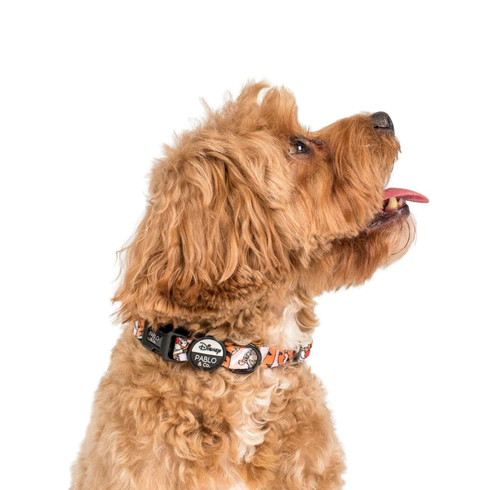 Pablo & Co One of a Kind Tigger: Dog Collar