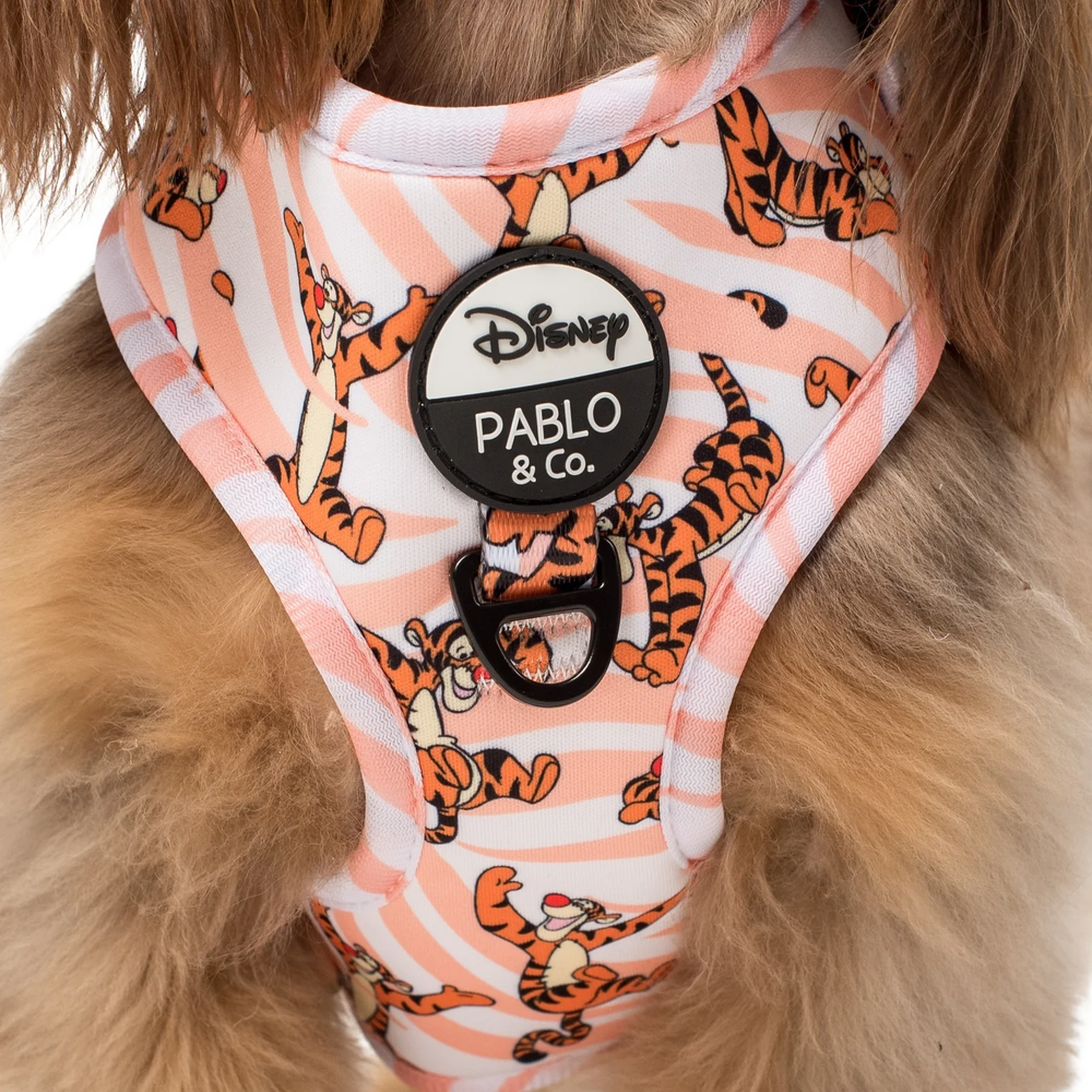 Pablo & Co One of a Kind Tigger: Adjustable Harness