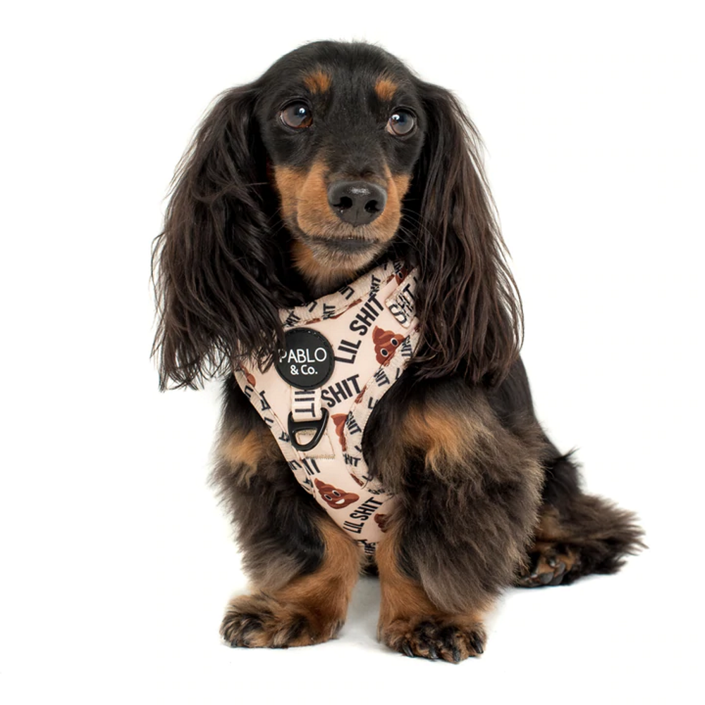 Pablo Co Lil Shit 2.0 Adjustable Harness