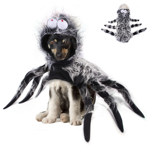 Shop Dog Costumes at DoggyTopia | DoggyTopia