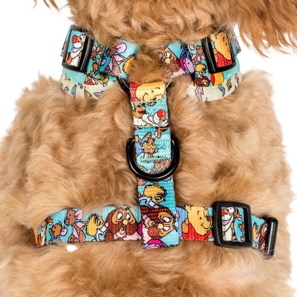 Pablo & Co Winnie the Pooh & Forest Friends: Adjustable Harness
