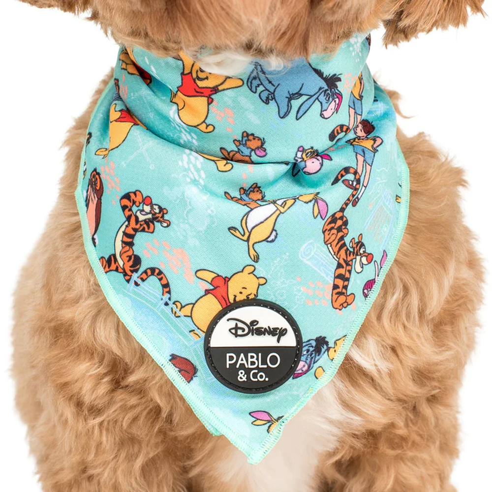 Pablo & Co Winnie the Pooh & Forest Friends: Bandana