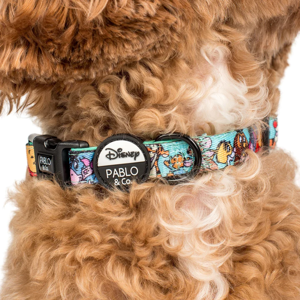 Pablo & Co Winnie the Pooh & Forest Friends: Dog Collar