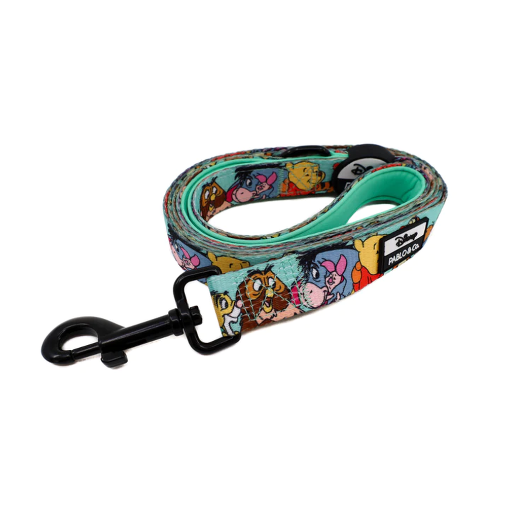 Pablo & Co Winnie the Pooh & Forest Friends: Dog Leash