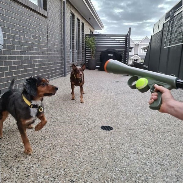 Bazooka Dog Ball Launcher - Interactive Toys from . at DoggyTopia