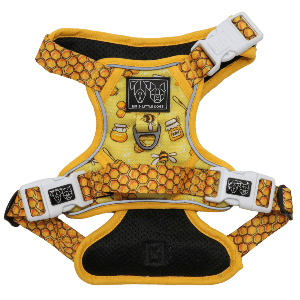 Big & Little Dogs Bee - Hiving All Rounder Harness - All Rounder Harnesses from Big & Little Dogs at DoggyTopia