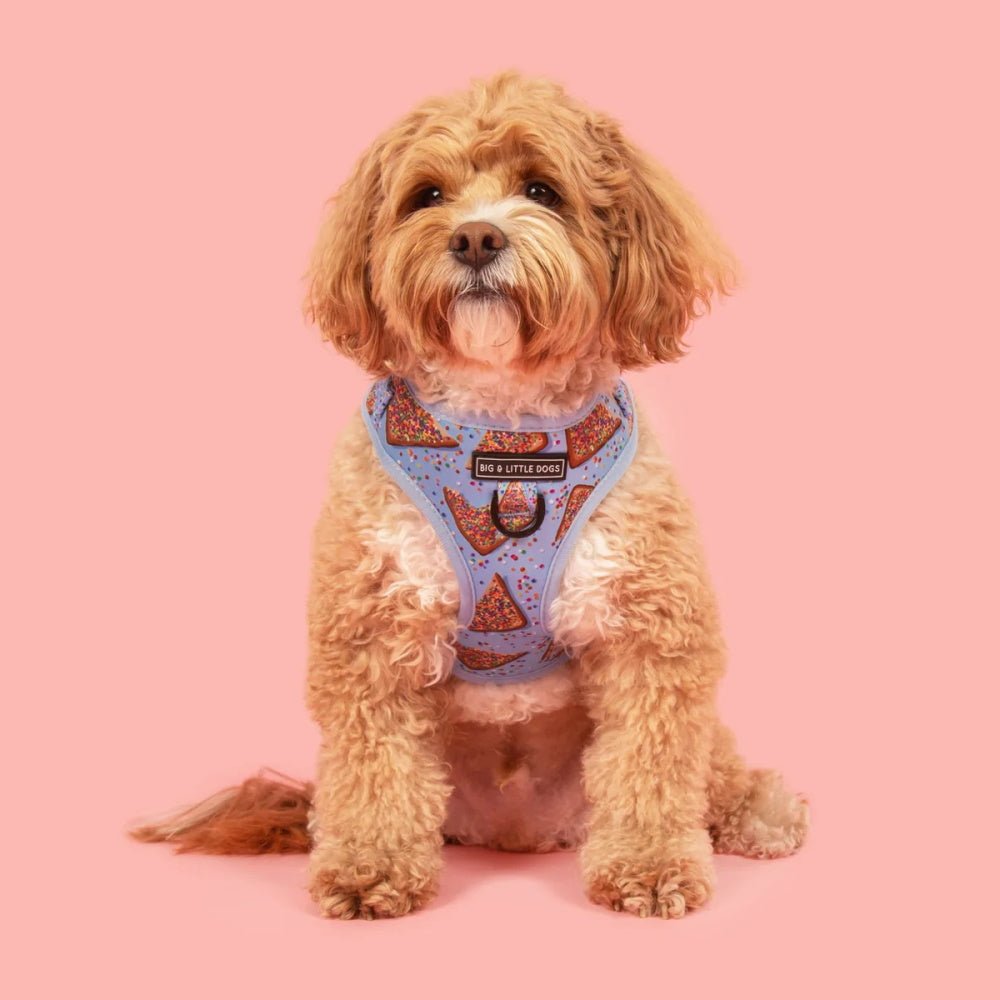Big & Little Dogs Blue Fairy Bread Adjustable Harness - Adjustable Harnesses from Big & Little Dogs at DoggyTopia