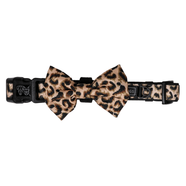 Big & Little Dogs Luxurious Leopard Collar & Bow Tie - Collar & Bow Ties from Big & Little Dogs at DoggyTopia
