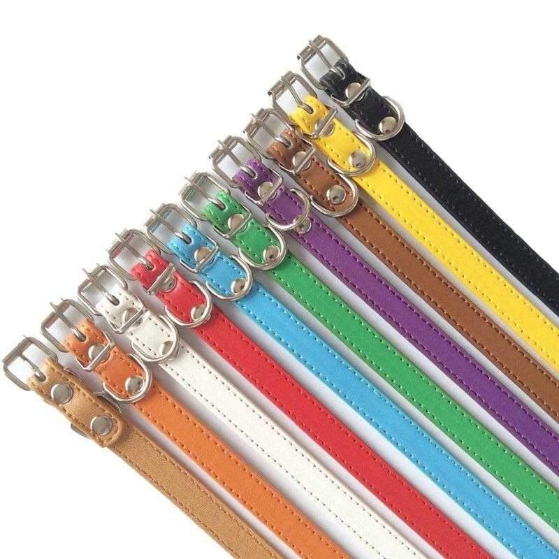 Dog Collar Buckle StyleDoggyTopia