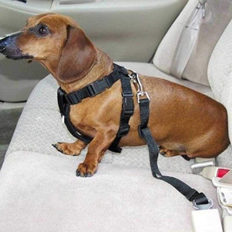 Dog Seat Belt Attachment, DoggyTopiaDoggyTopia