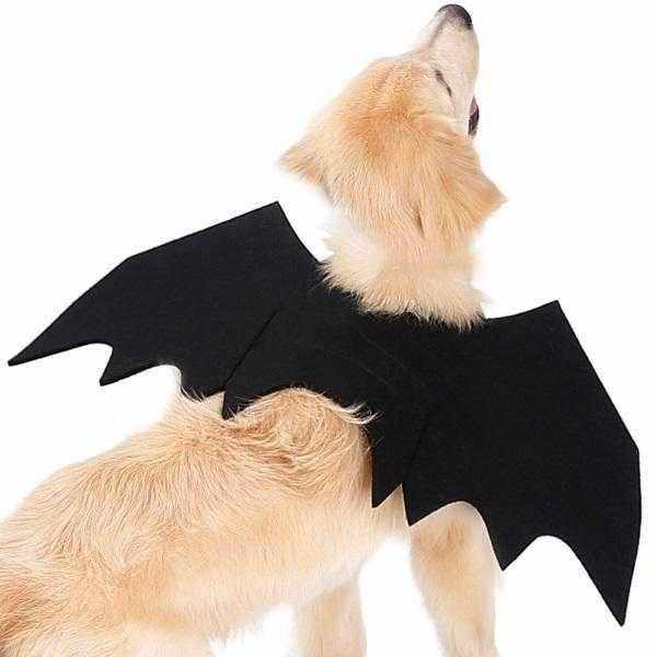 Bat Wings Dog Halloween CostumeDoggyTopia