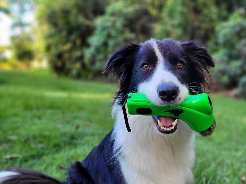 Dog Treat Launcher - Enrichment Toys from . at DoggyTopia