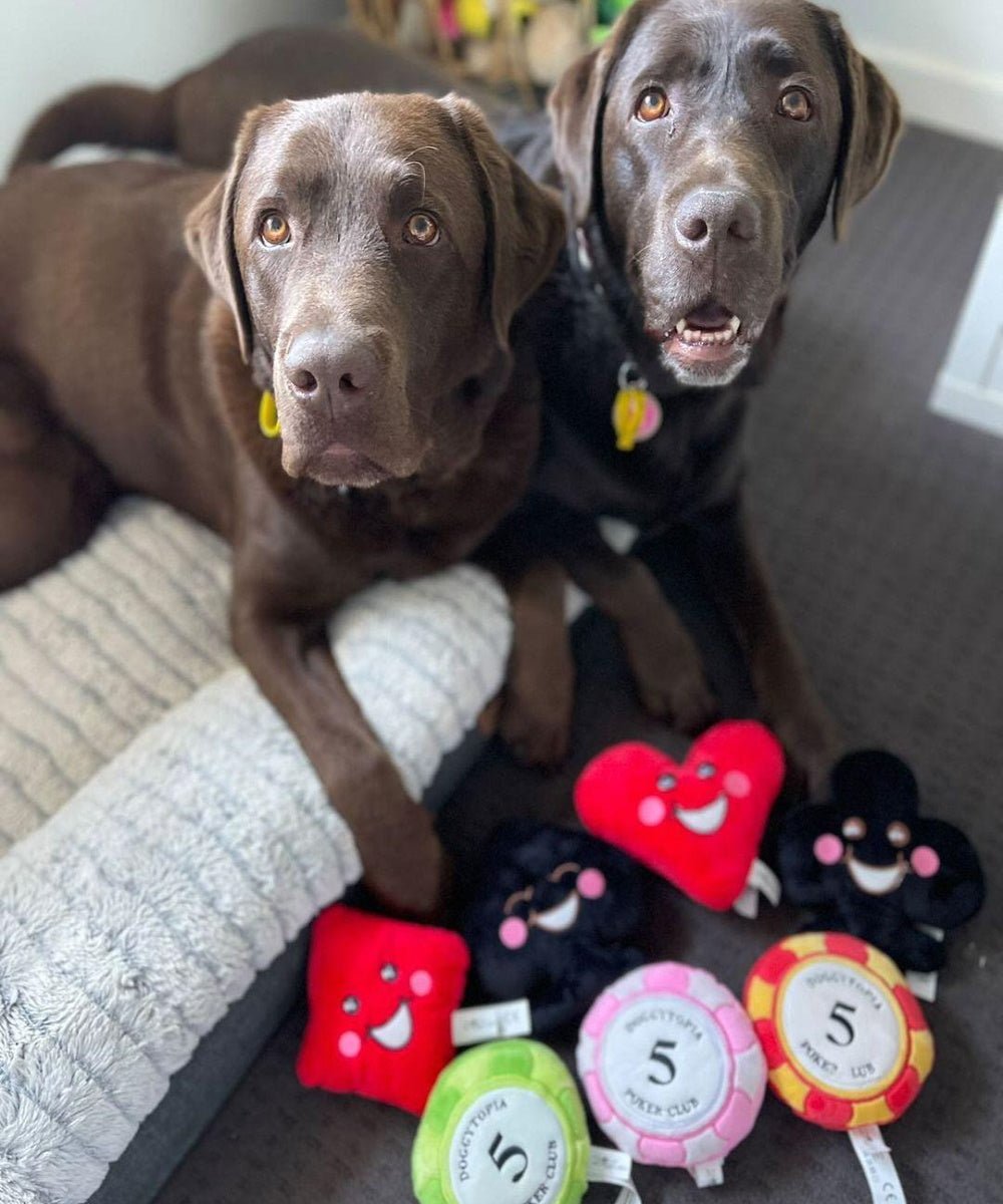 DoggyTopia Poker Club - Heart Dog Toy - Plush Toys from Sale at DoggyTopia