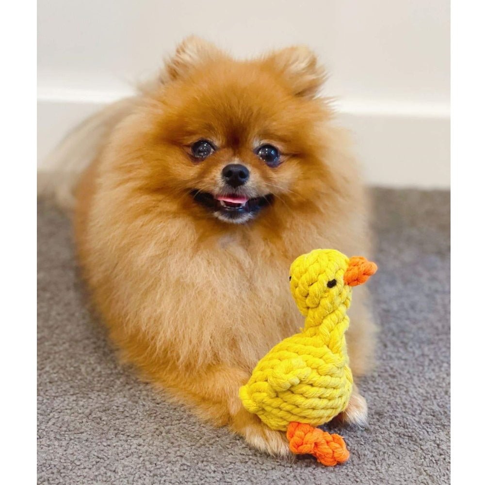 Duck Rope Dog Toy - Rope Toys from . at DoggyTopia
