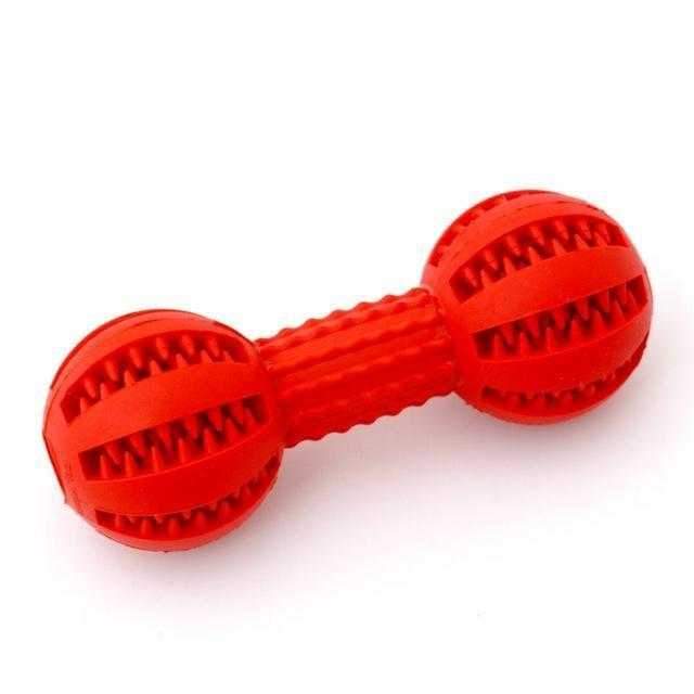 Dumbbell Dog Dental ToyDoggyTopia