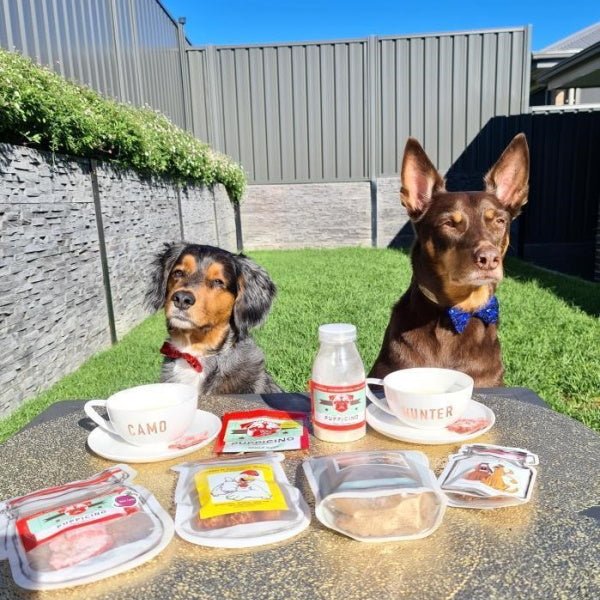 L'Barkery Chicken & Coconut Balls - Treats from L'Barkery at DoggyTopia