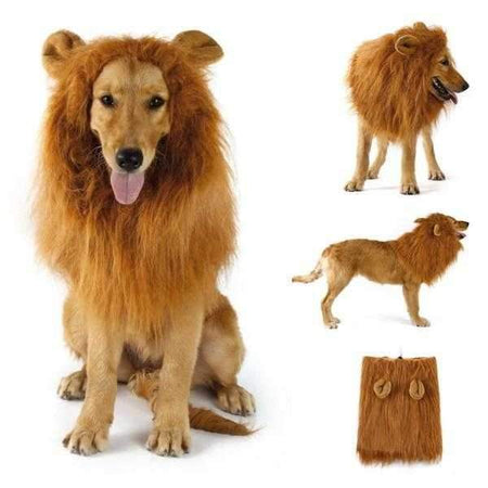 Lion Mane Dog Costume Medium to Large Dogs DoggyTopia